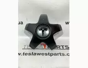 Заглушка колесного диска Tesla Model X Plaid, 1420238-00-A